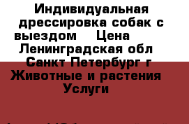 Индивидуальная дрессировка собак с выездом  › Цена ­ 700 - Ленинградская обл., Санкт-Петербург г. Животные и растения » Услуги   